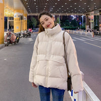 Winter Coat - Ze - Li